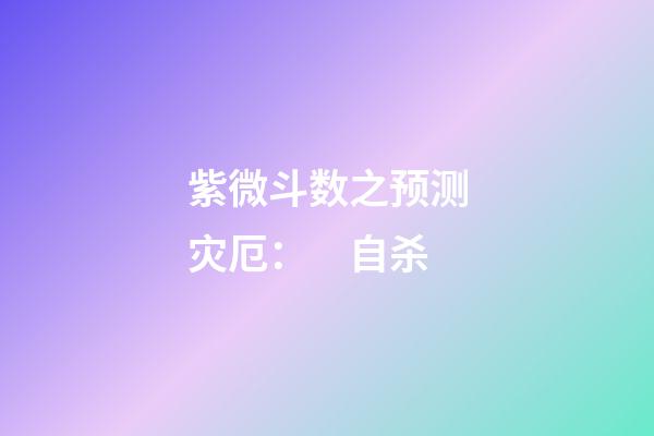 紫微斗数之预测灾厄：　自杀